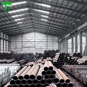 12 Inch Low Carbon Steel Pipe