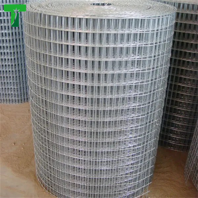 Steel wire mesh