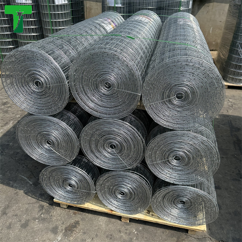 low carbon Steel wire mesh