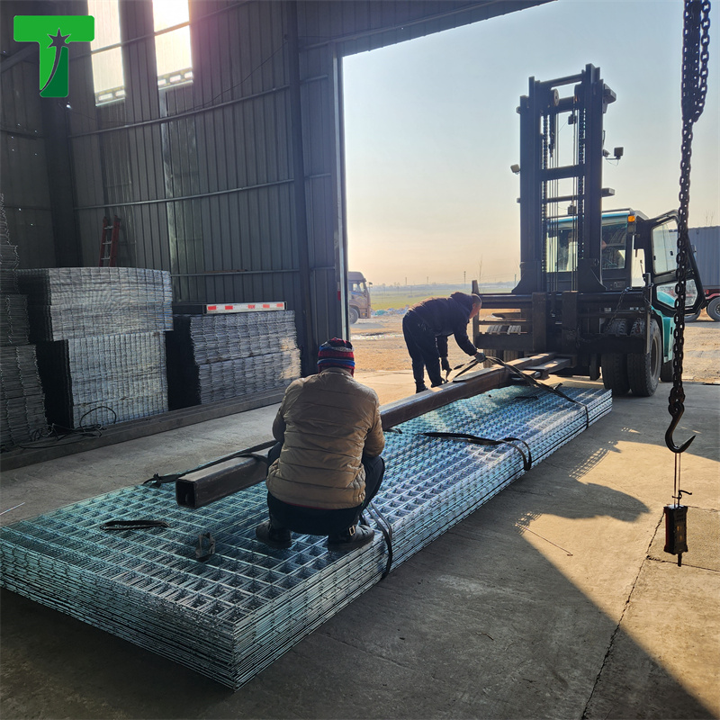 Galvanized Welded Steel Wire Mesh Panel Custom Mesh Opening & Wire Gauge - Image 5